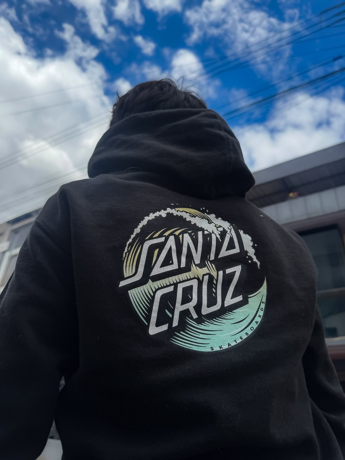 Hoodie Santa Cruz vista 2