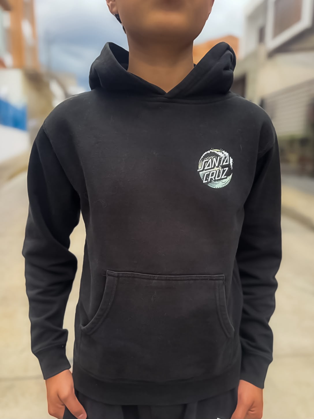 Hoodie Santa Cruz vista 4